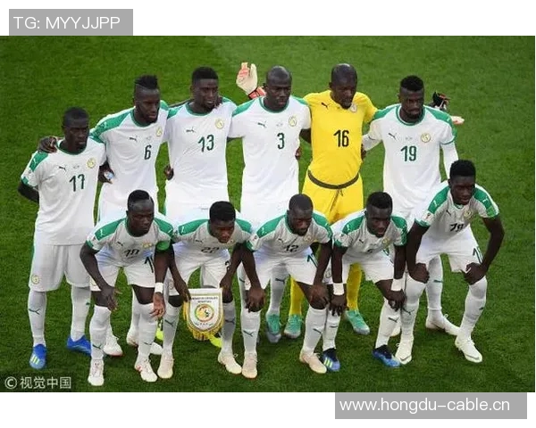 姆巴耶与萨尔携手出战塞内加尔年轻力量再添新星