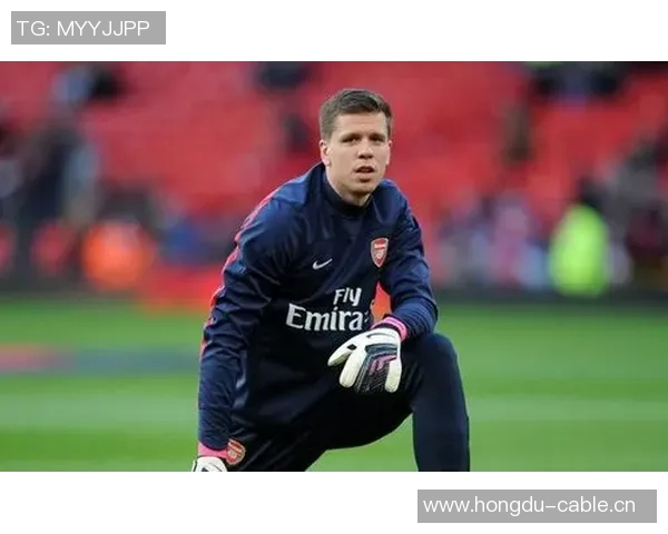 什琴斯尼回忆与温格的隔阂：安于现状的我错失了机会